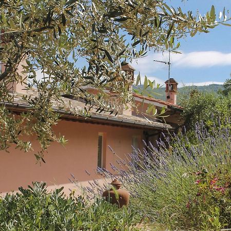 Tuscany Roses Арецо Екстериор снимка